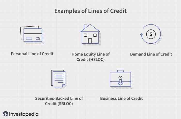 Line of Credit (LOC) Definition, Types, and Examples Line of Credit (LOC) Definition, Types, and Examples