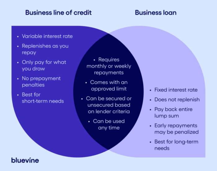 What Is a Business Line of Credit and How Does It Work? | Bluevine What Is a Business Line of Credit and How Does It Work? | Bluevine