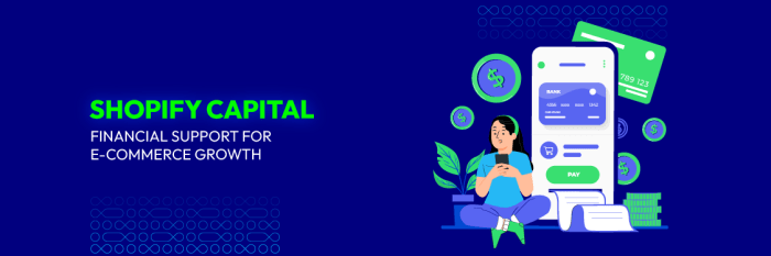How to Fund Your Business with Shopify Capital - Adoric Blog