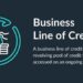 What Is a Business Line of Credit? + How They Work [2024 Guide]